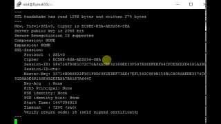 How to disable SSLv3 Nginx Centos