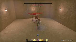 ESO セット装備 冒涜者 Defiler
