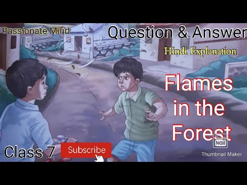 Flames in the Forest Question And Answer Class 7 Chapter 4 English