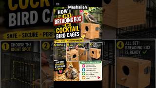 How I Added a Breeding Box to My Cockatiel Cage 🐥#birds