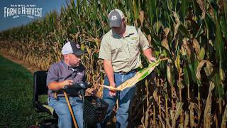 The New Corn Disease Worrying Maryland Farmers | MD F&H
