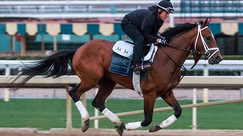 The Kentucky Derby by the Thorograph Numbers and Patterns