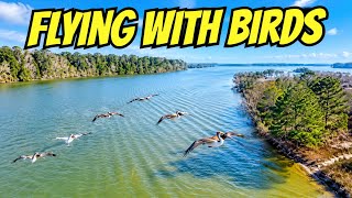 Flying with Birds in East End Park