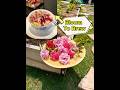 Rose Tea From Own Backyard #rosepetaltea #rose#flowergarden#backyardgardening