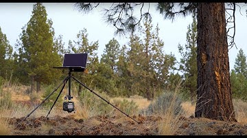 3 Legged Thing Punks Billy Carbon Fibre Tripod System