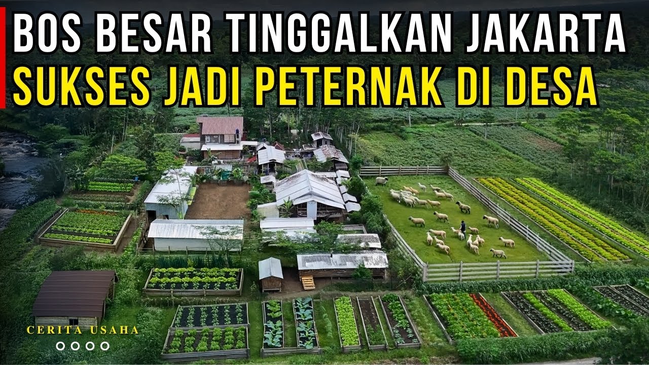 BISA KAYA DI DESA TANPA HARUS KE KOTA BESAR INI YANG HARUS KAMU RUBAH DAN LAKUKAN ! | CERITA USAHA