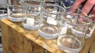 Clock reaction