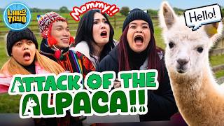 [Pt 3] ALPACA WORLD sa Korea!! 🚍🦙 NANGANGAGAT at NAGWAWALA Nga Ba  😳 | LARO TAYO!