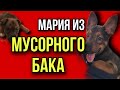 Мария из мусорного бака