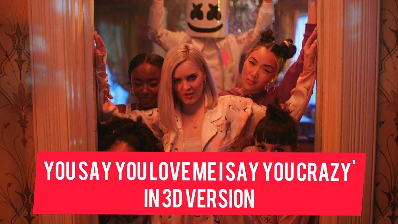A Say You Love Me I Say You Crazy You say you love me I say you crazy song by Mashmello & Anne-Marie in