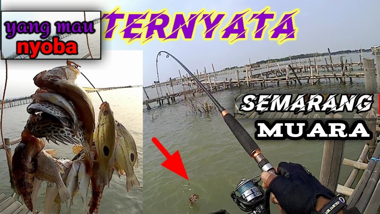 MUDAH DAN JAMIN DAPAT|| [mancing lagi di rumpon semarangan]ikan melimpah‼️