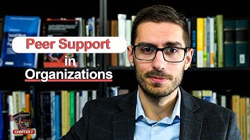 Peer Support in Organizations (Chapter 7)