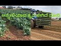 Agriculture in Australia/ Kannada vlogs