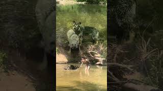 Living Art: The Healing Power of Water & River Spirits