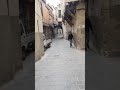 تصوير قصير داخل حارات الشام القديمة 