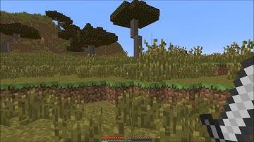 Minecraft Editing Test