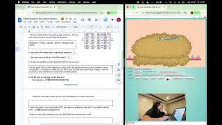 ANCAJAS - ACT 5: DNA MUTATION SIMULATION
