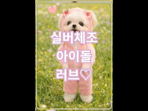 실버체조계 아이돌 데뷔🐶💖  러브와 신나는 전신체조