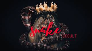 ＯＣＣＵＬＴ —  SNAKE  (Original Mix)