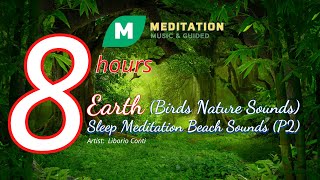 Earth | Meditation Music Nature Sounds Birds | Meditation Music Relax Mind Body Positive Energy (P1)