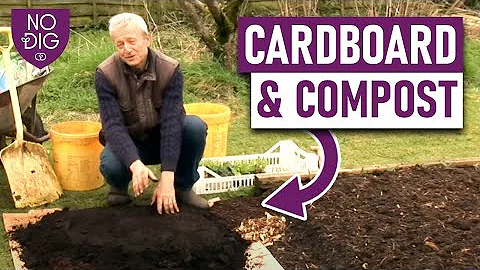 Start out no dig - one method with cardboard and c...