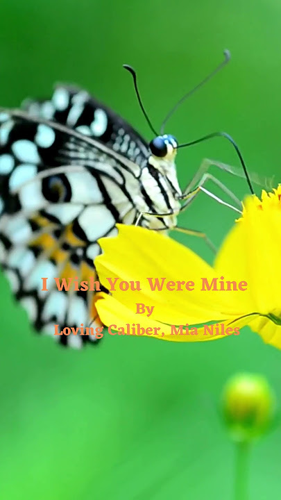 I Wish You Were Mine - By Loving Caliber, Mia Niles - Best song to boost your mood #shorts, #love