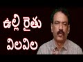 Onion Market Report || Why Onion Farming in Crisis Amazing Agriculture Agri Tech