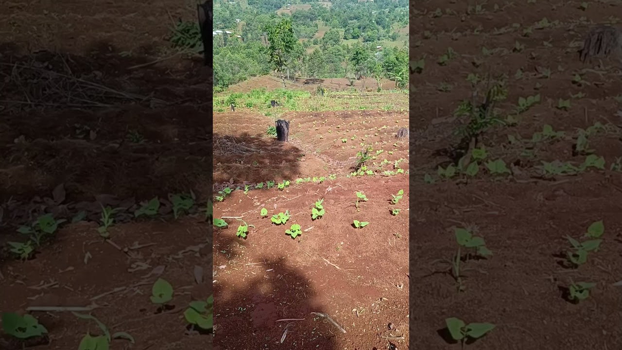 How and Why We Are Using Contour Ploughing to Fight Soil Erosion and Conserve the Environment.