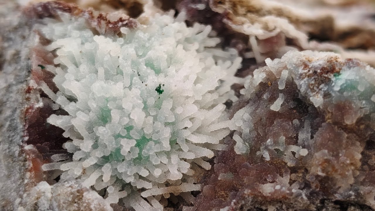 Congo Cocktail Time...again 😏 ep.140 22/1