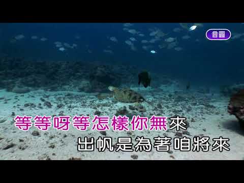 阿卿-碼頭酒-KTV