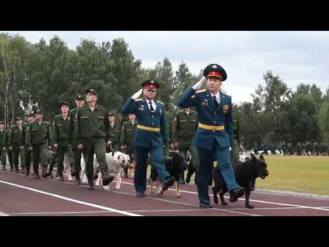 Княжево. Парад на День части.