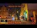 ⁴ᴷ⁶⁰ 🇵🇱 Poznan/Poland | Walking Tour | #123 - Jezyce by Night (December 2023) [4K]