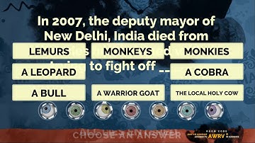 RPGM Plays: Fibbage 2 - Session 1, Part 1