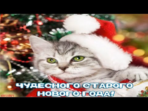 Старый Новый Год🎄Со Старым Новым Годом💖С наступающим Старым Новым Годом💐2021 Видео поздравление