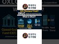 OXLC 심층 분석: 24% 배당의 진실 | 고배당의 대가? 투자 전 꼭 알아야 할 5가지