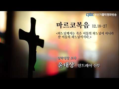 영상썸네일