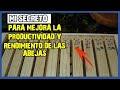 Apicultura para principiantes 🐝 [3] ORDENAR BASTIDORES DE UNA COLMENA