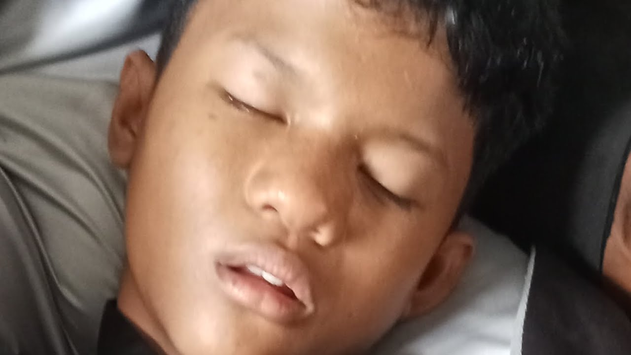 free script ddos nih bre