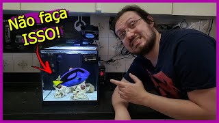 Montou seu Primeiro Aquário MARINHO? Veja esse VÍDEO! screenshot 5
