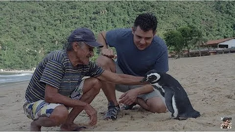 Em que parte do dia a pessoa Encontrou-se com o pinguim?