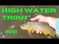 TROUT fishing HIGH WATER (fly fishing) vlog