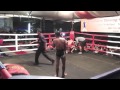 Chuy Fight  Jan 2014