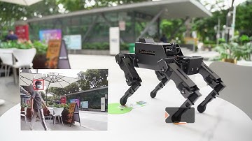 Yahboom 12DOF ROS2 Robot Dog DOGZILLA S2