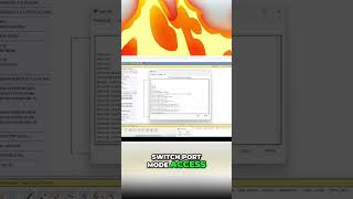 Configura tu puerto de red para la VLAN 20 en Cisco