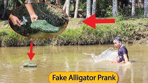 Remote Controlled Alligator Scary Prank In Village - Just For Laughs