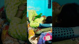 मां के बिना मैं नहीं रह सकता। #mitthushorts # #mitthu #talkingparot #funny #mithukibatain