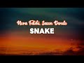 Nora Fatehi Jason Derulo Snake Visualizer 