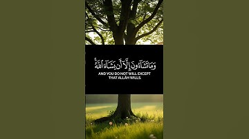 القران الكريم ياسر الدوسري صوت عذب وجميل #القرآن #المصحف #القرآن_الكريم