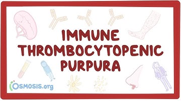 Immune thrombocytopenic purpura - an Osmosis Preview