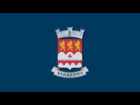 საკრებულოს რიგგარეშე სხდომა (Temur Abazov)